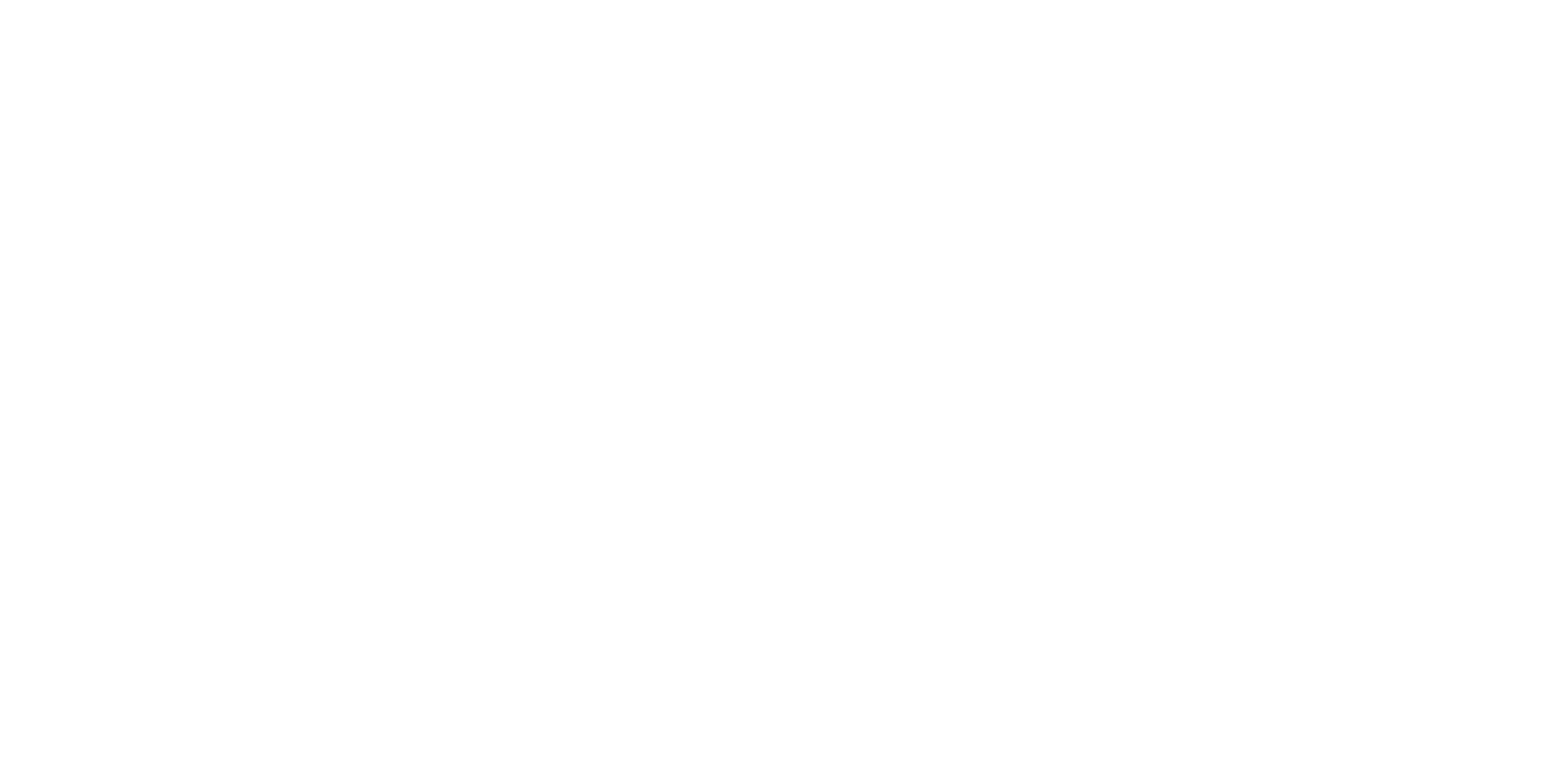 Logo VaiGo Nuovo Full Bianco